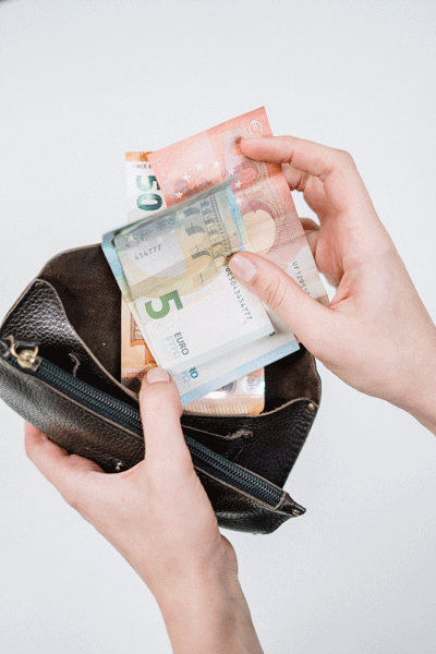 Euro money to finance job search in Germany